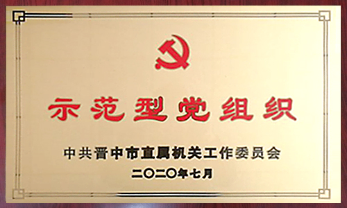 2020年度示范型党组织