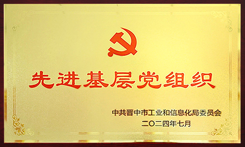 2024年先进基层党组织 2024年先进基层党组织